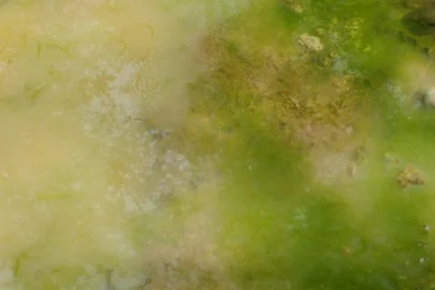 Colored water surface Stock Photos