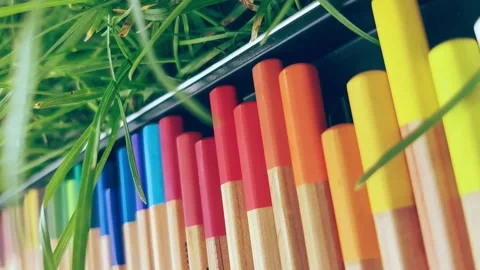 Colored wooden pencils in an iron box lie in the green grass. Vertical video Stock Footage
