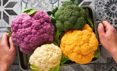 Colorfu cauliflower. Various sort of cauliflower in metal container that hold Stock Photos