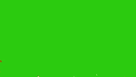 Colorful 3D Confetti Explosion Brust. 動画素材 337017129