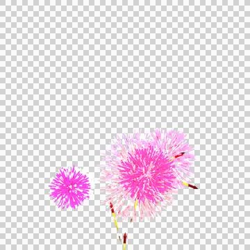 Colorful 3D rendered fireworks explosion with bright particle effects, isol.. Illustrazione stock