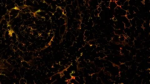 Colorful abstract animation gradient 4K smooth concept Stock Footage 150739701