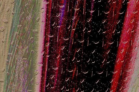 Colorful abstract background featuring a subtle pattern. Perfect for use as.. Illustrazione stock