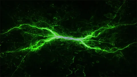 Colorful Abstract Background with Glowing Lines and Motion Stock Footage 296860729