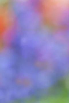 Colorful abstract background Stock Photos