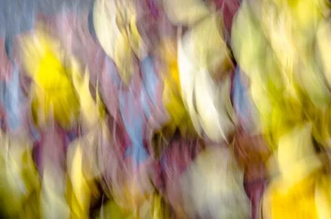 Colorful abstract background Stock Photos