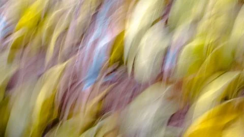 Colorful abstract background Stock Photos