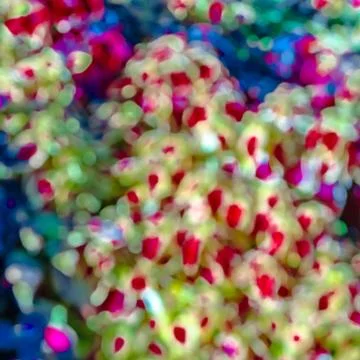 Colorful abstract background Stock Photos