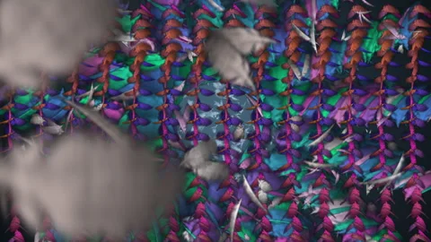 Colorful Abstract Bird Feathers Falling, Psychedelic Dense Motion Background 스톡 동영상 335196963