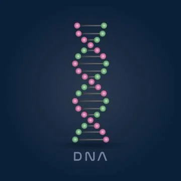 Colorful Abstract DNA strand symbol isolated on dark blue background. Stock Illustration