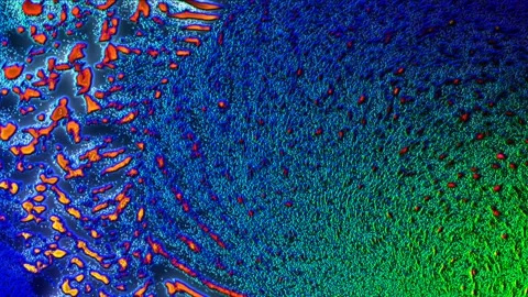 Colorful Abstract Electronic Visualisations moving particles digital art visual Stock Footage 196825389