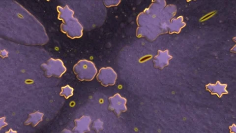 Colorful Abstract Electronic Visualisations moving particles digital art visual Stock Footage 196825576