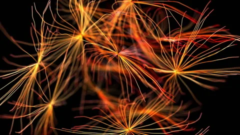 Colorful abstract lines growth Stock Footage 166089410