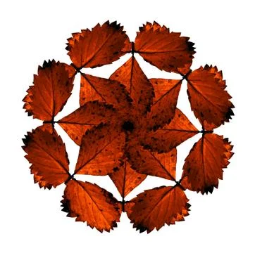 Colorful abstract mandala Stock Illustration