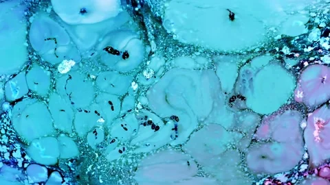 Colorful Abstract Motion 4K Stock Footage 176494111