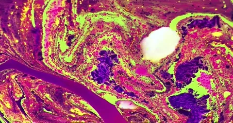 Colorful Abstract Motion 4K Stock Footage 176502649