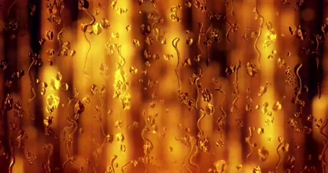 Colorful Abstract Motion 4K Stock Footage 189531413