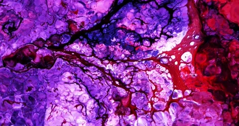 Colorful Abstract Motion 4K Stock Footage 194001479