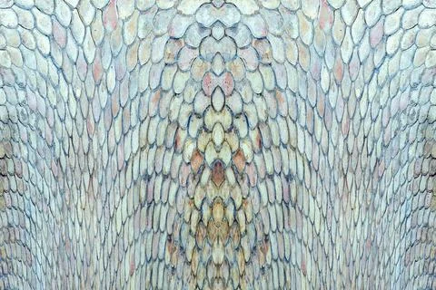 Colorful abstract pattern of overlapping shapes with a symmetrical design Stock Photos