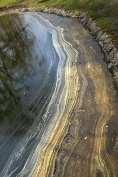 Colorful abstract pattern on polluted water surface near stone shore. Stock Photos