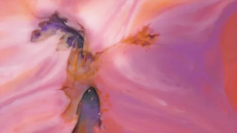 Colorful abstract patterns create a mesmerizing visual experience Stock Footage 320390550