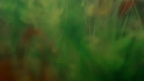 Colorful abstract patterns flow through artistic creation in an immersive studio Video stock 313872777