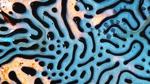 Colorful abstract patterns inspired by nature's design Stock Footage 320388129