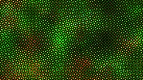 Colorful abstract seamless loop for live visuals and Stock Footage 337828649