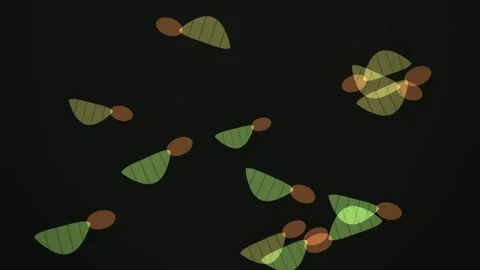 Colorful abstract shapes floating in dark space with soft Stock Footage 338440543