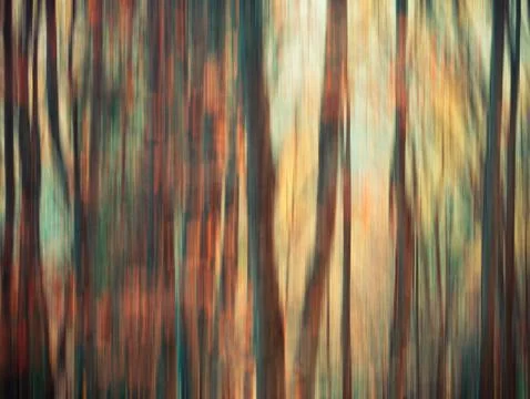 Colorful abstract texture background. Forest scene with motion blure effect Stock Photos