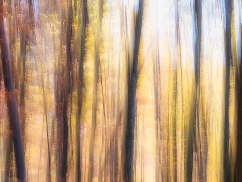 Colorful abstract texture background. Forest scene with motion blure effect Stock Photos