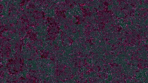 Colorful abstract texture with chaotic patterns and dark Stock Footage 338229390