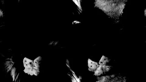 Colorful abstract tileable geometric texture Stock Footage 310795436