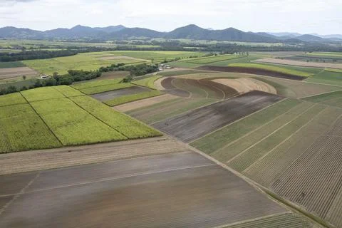 A Colorful Aerial Patchwork Of Sugarcane Fields Stock Photos