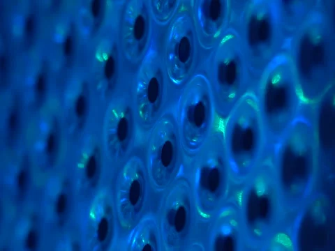 Colorful aluminium hole pattern texture with low depth of field Stock Footage 83658313