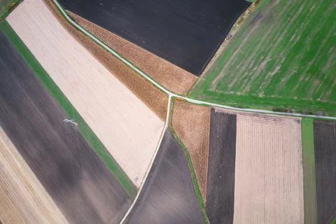 Colorful and rectangular fields with corn and wheat from a bird's eye view 스톡 사진