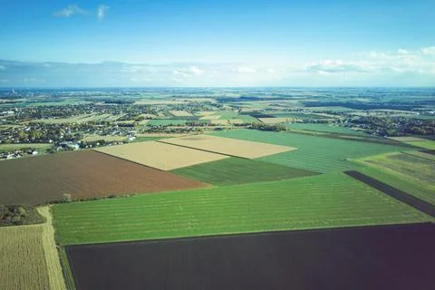 Colorful and rectangular fields with corn and wheat from a bird's eye view 스톡 사진