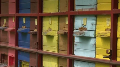 Colorful apiaries Stock-Footage 50578605