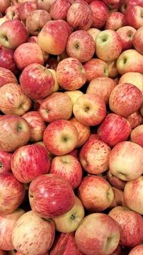 Colorful Apples in Large Quantities Stock Photos