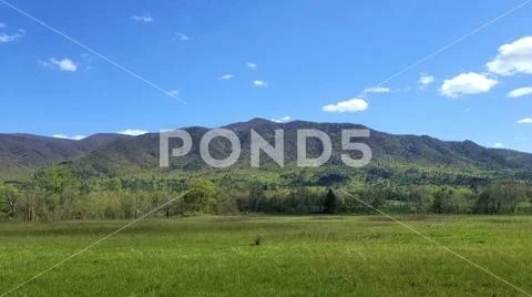 Colorful April Mountain Pasture Vista 2 Stock Photos