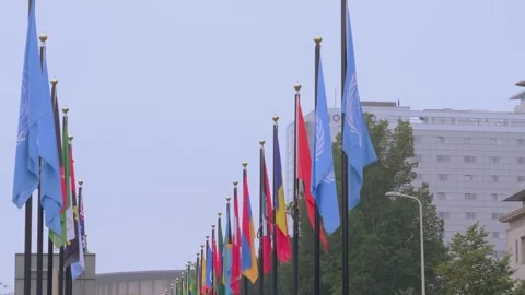 Colorful array of flags from various United Nations member states, global u.. Stock Footage 264886322