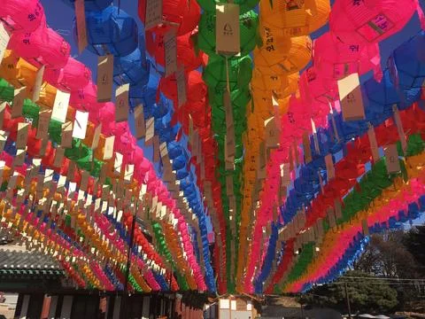 Colorful array of lanterns hang from the ceiling in a festive display Stock Photos