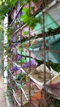 Colorful array of plastic pots with plants hang suspended from a metal fence 写真素材