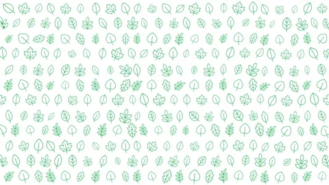 Colorful array of various leaf patterns with vibrant green hues background Stock Footage 320815752