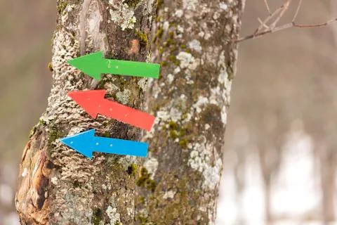 Colorful arrows in a pine Stock Photos
