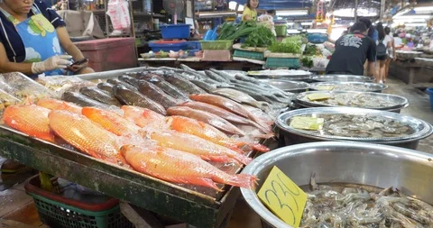 ◇Fish Market◇２２×２０×１５◇ ◇ Victoria Fish Market — Local Delicacies in Seychelle