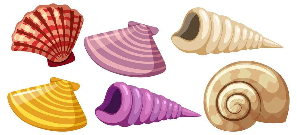 Colorful Assorted Seashells Vector Illustration Collection Illustration