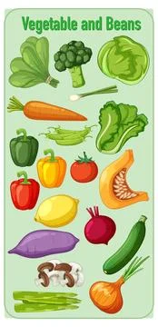 Colorful Assorted Vegetables and Beans Vector Illustration Stock Illustration