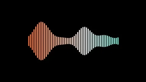Colorful Audio Equalizer Display Animation Stock Footage 336699438