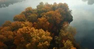 Colorful Autumn Forest And Tree Aerial Drone Top View. Stock Footage
